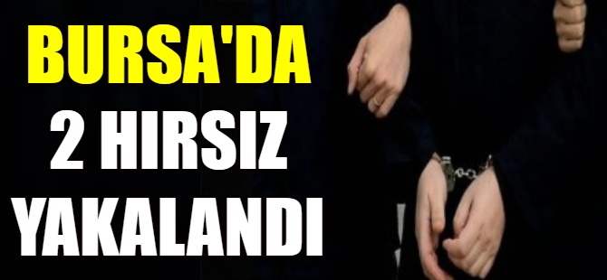 Bursa'da 2 hırsız yakalandı