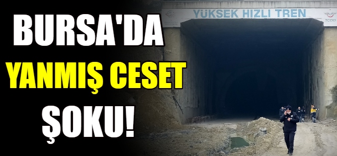 Bursa'da yanmış ceset şoku!