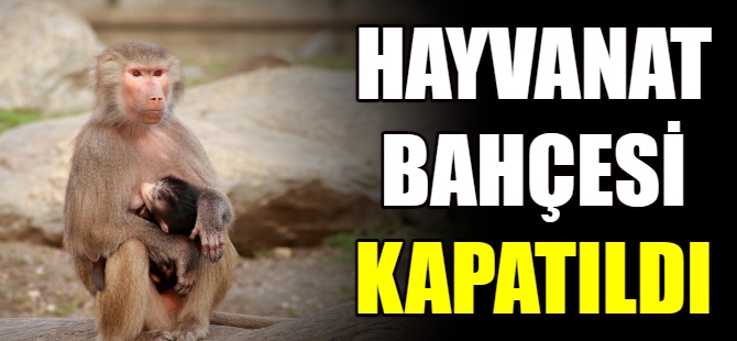 Bursa Hayvanat Bahçesi kapatıldı
