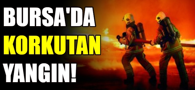Soba evi yaktı!