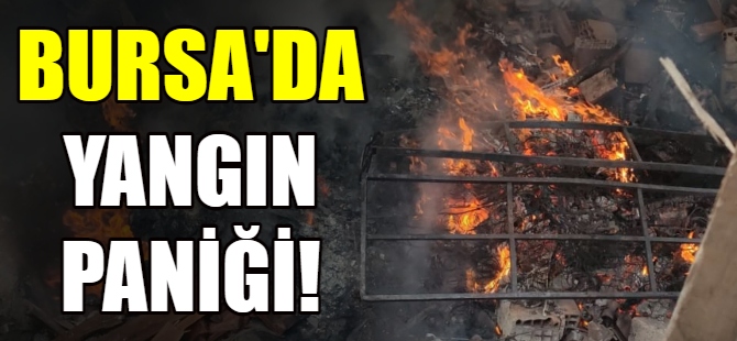 Bursa'da yangın paniği