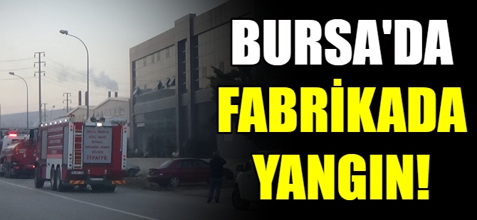 Bursa'daki fabrikada yangın!