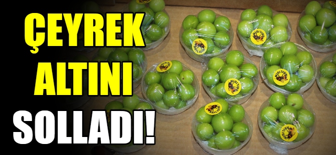 Erik, çeyrek altını solladı