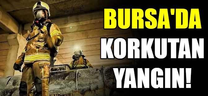 Bursa'da korkutan yangın!