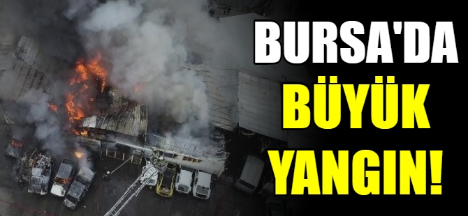 Bursa'da büyük yangın!