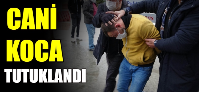 Cani koca tutuklandı
