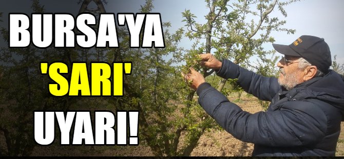 Bursa'ya sarı uyarı!