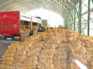 Mudanya Belediyesi patates dağıttı