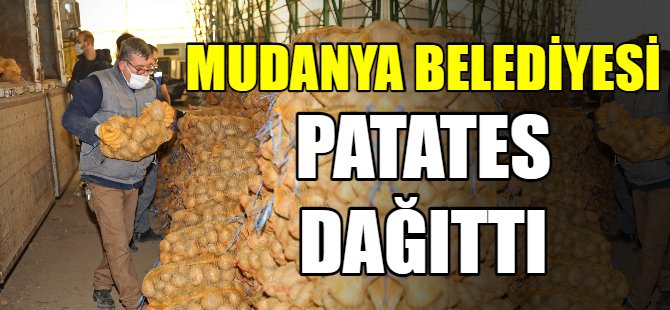 Mudanya Belediyesi patates dağıttı