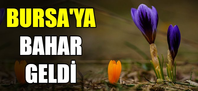 Bursa'ya bahar geldi