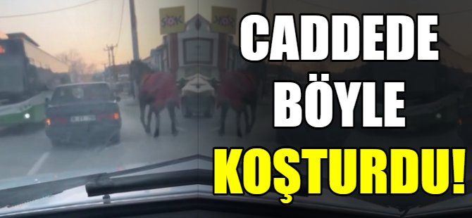 O görüntülere büyük tepki!