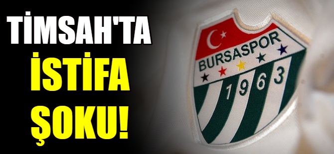 Bursaspor'da bir istifa daha!