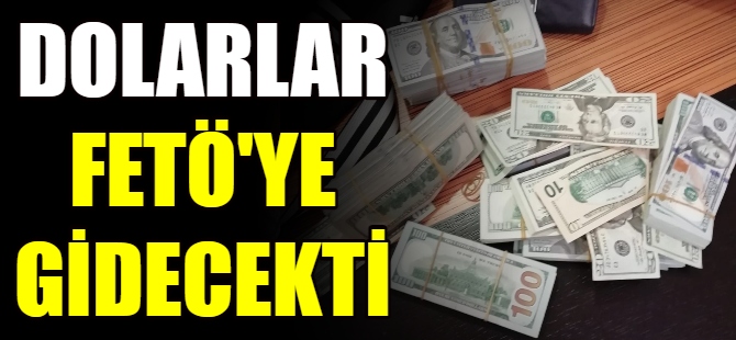 Dolarlar FETÖ'ye gidecekti