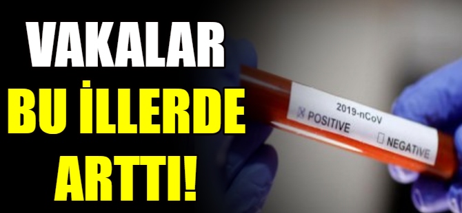 Vakaların en çok arttığı iller