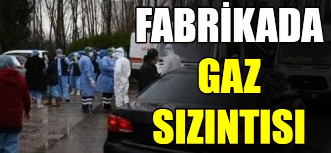 Fabrikada gaz sızıntısı!