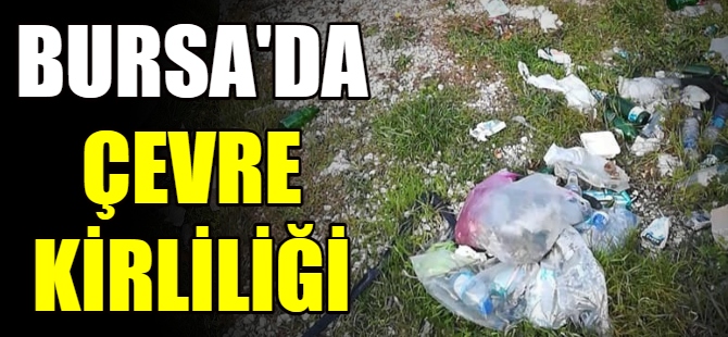 Bursa'da çevre kirliliği