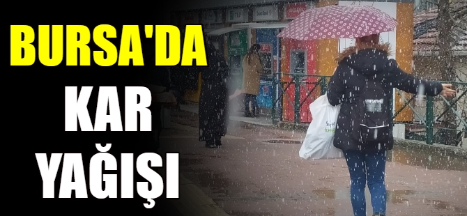 Bursa'da kar yağışı