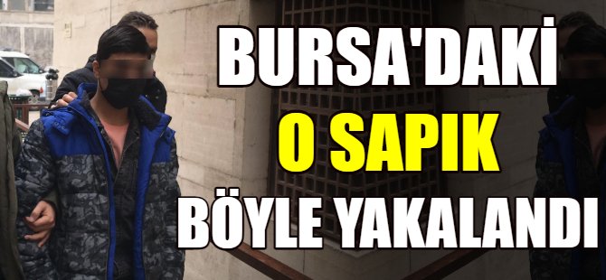 Tacizciyi montu ele verdi
