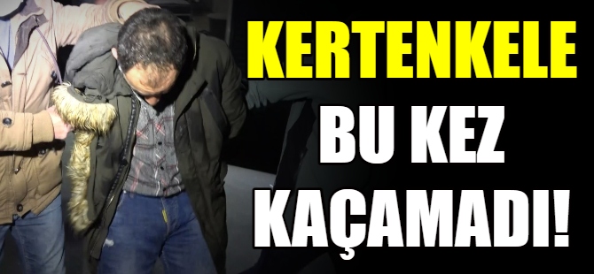 ‘Kertenkele' bu kez kaçamadı!