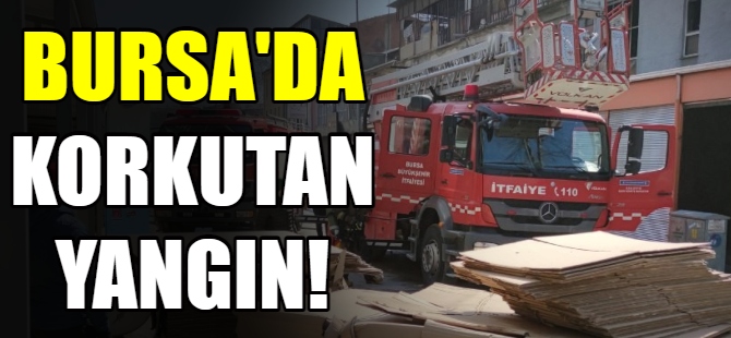 Bursa'da korkutan yangın!