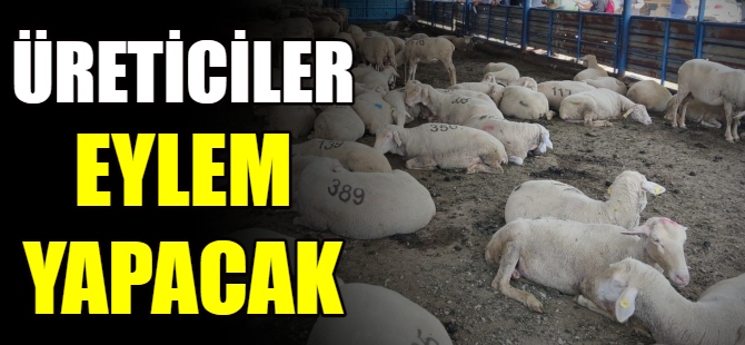Hayvan üreticileri eylem yapacak