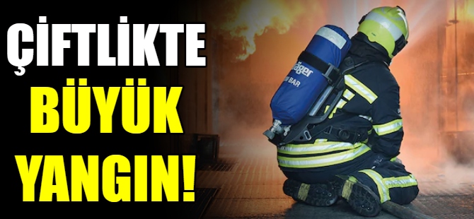 Bursa'daki tavuk çiftliğinde yangın!
