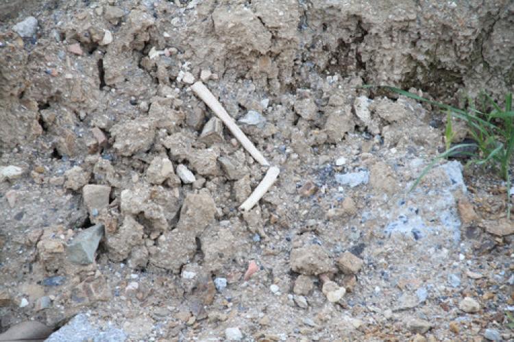 Taksim'deki kazılarda kafatası ve kemik bulundu