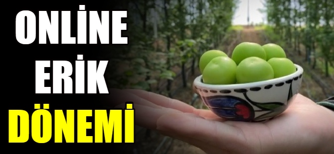 Erikte online satış dönemi