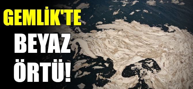 Gemlik'te korkutan görüntü