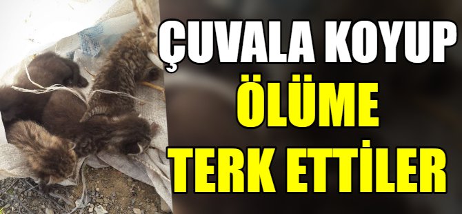 Çuvala koyup ölüme terk ettiler