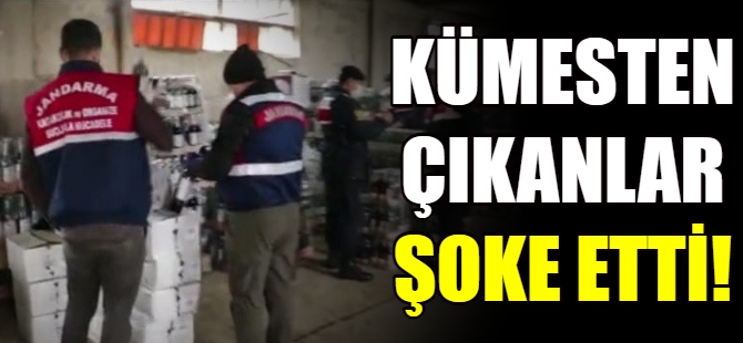 Kümesten çıkanlar şoke etti