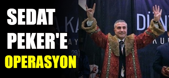 Sedat Peker ve suç örgütüne operasyon