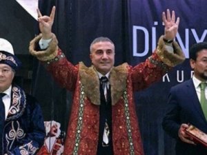 Sedat Peker ve suç örgütüne operasyon