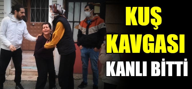 Kuş kavgası kanlı bitti