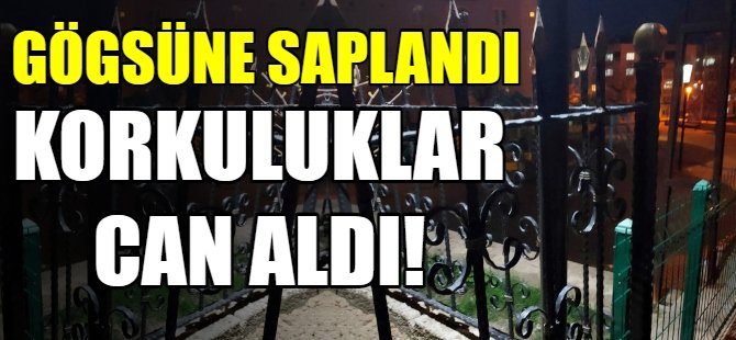Bursa'da korkunç son!