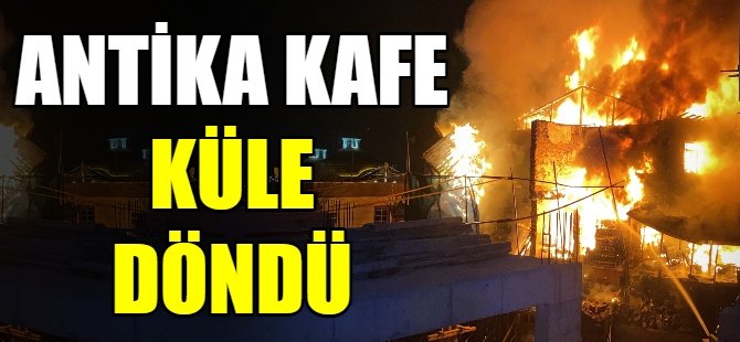 Bursa'nın göbeğinde dev yangın