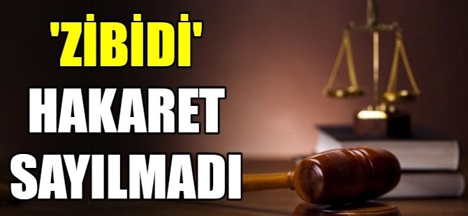 Zibidi hakaret sayılmadı