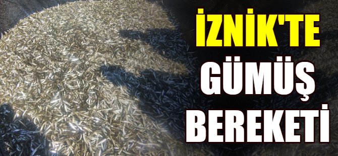 İznik'te gümüş bereketi