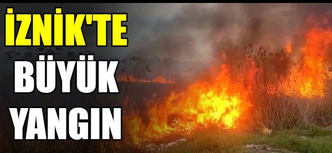 İznik'te büyük yangın