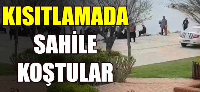 Bu kadarına da pes!