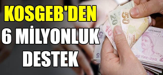 KOSGEB'den 6 milyon destek