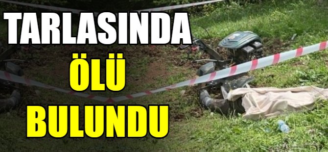 Tarlada ölü bulundu