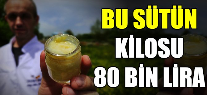 Bu sütün kilosu 80 bin lira