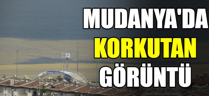 Mudanya'da korkutan görüntü