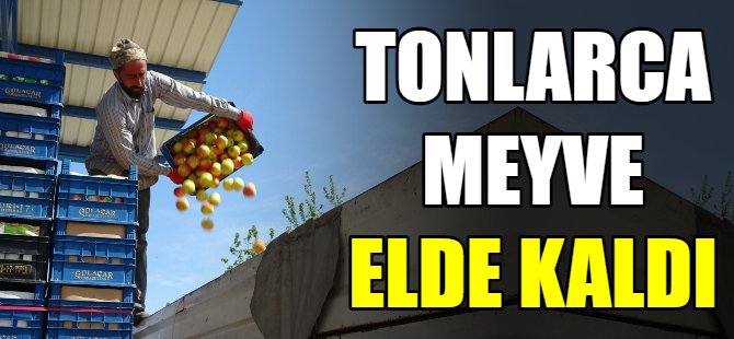 Tonlarca meyve elde kaldı