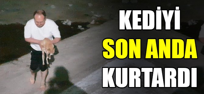 Kediyi son anda kurtardı