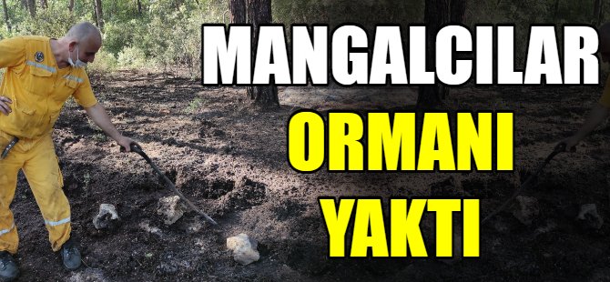 Mangalcılar ormanı yaktı