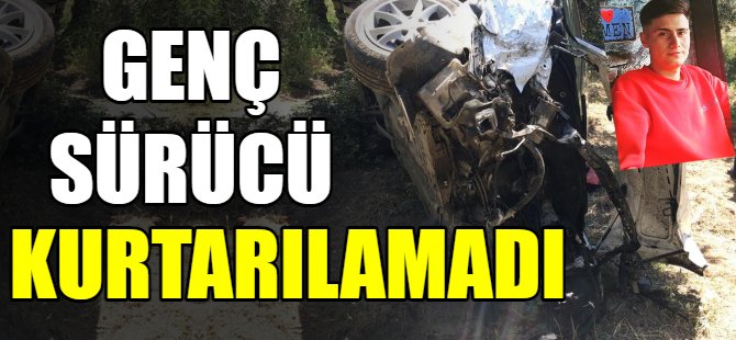 Aracıyla zeytinliğe uçtu!
