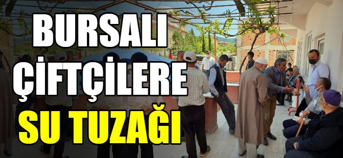 Bursalı çiftçilere büyük tuzak