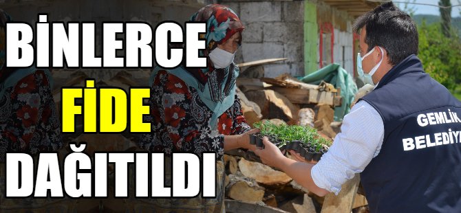 Binlerce fide dağıtıldı
